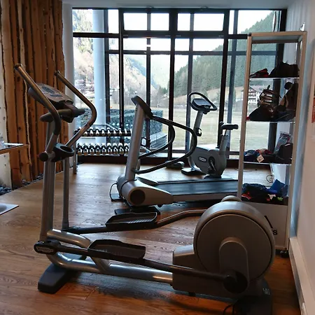 Hotel Zedern Klang 4*